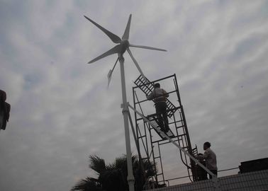 चीन कम पवन प्रारंभ प्रकार के साथ नवीकरणीय ऊर्जा बंद ग्रिड हाइब्रिड सौर पवन ऊर्जा प्रणाली फैक्टरी